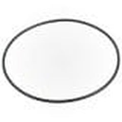 PENTAIR 271151 O-RINGS & GASKETS