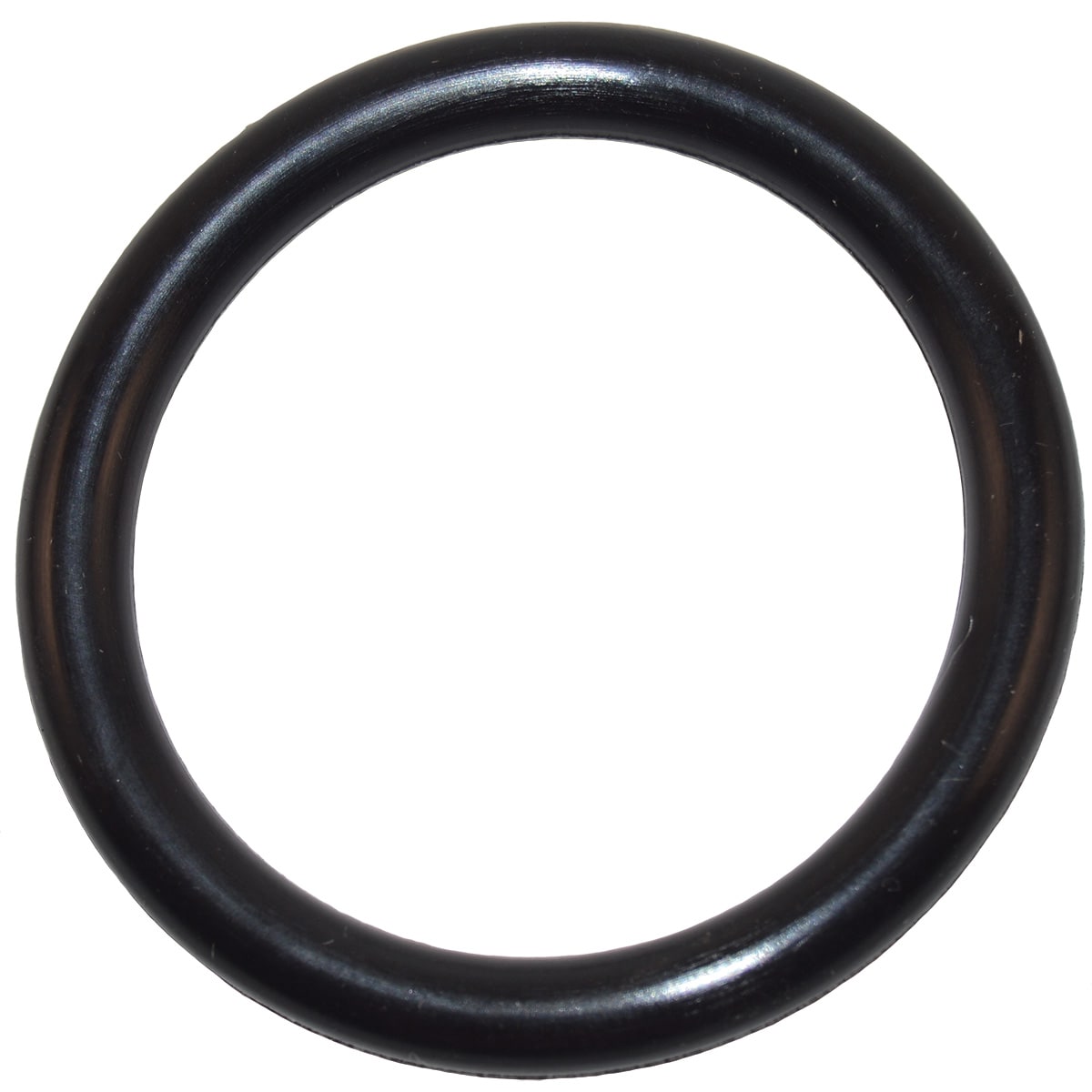 PENTAIR 273090 O-RINGS & GASKETS