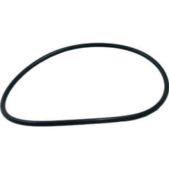 PENTAIR 275333 O-RINGS & GASKETS