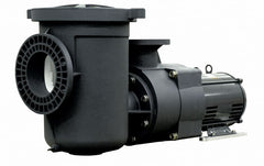 PENTAIR 340031 POOL & SPA PUMPS