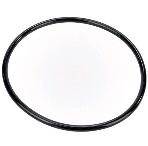 PENTAIR 350013Z O-RINGS & GASKETS