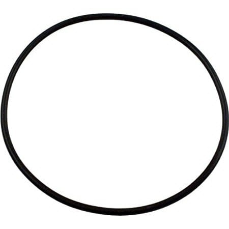 PENTAIR 354634 O-RINGS & GASKETS