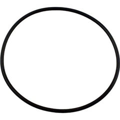 PENTAIR 354634 O-RINGS & GASKETS