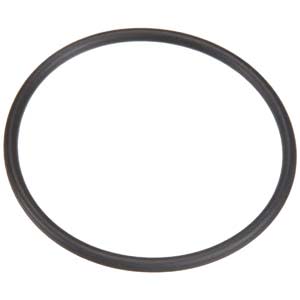 PENTAIR 35505-1425 O-RINGS & GASKETS
