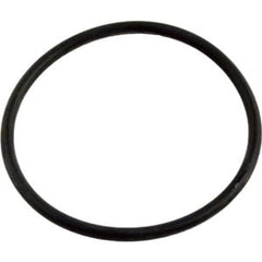 PENTAIR 355330 O-RINGS & GASKETS