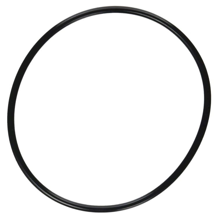 PENTAIR 357255Z O-RINGS & GASKETS
