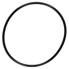 PENTAIR 357255Z O-RINGS & GASKETS
