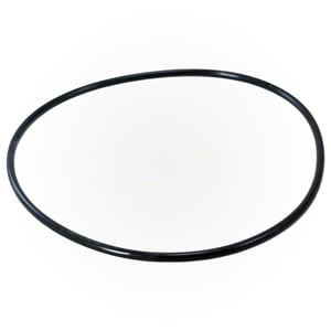 PENTAIR 87300400Z O-RINGS & GASKETS