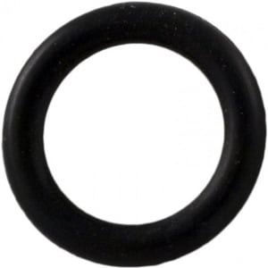PENTAIR Pentair LA375 Booster Pump O-Ring Drain Plug | LA375