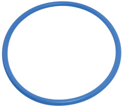 PENTAIR U9-229Z O-RINGS & GASKETS