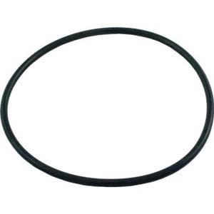 PENTAIR U9-369 O-RINGS & GASKETS