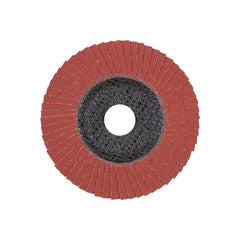 Pferd 62232 Polifan Type 29 SG Flap Disc 4-1/2 inches Dia 60 Grit 7/8 inches Arbor 13300 RPM Aluminum Oxide