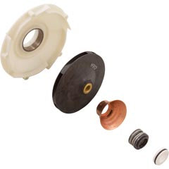 PENTAIR Pentair PP1018 Overhaul Replacement Kit Sta-Rite Pool and Spa Pump