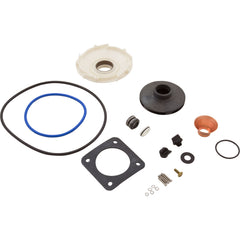 PENTAIR Pentair PP1018 Overhaul Replacement Kit Sta-Rite Pool and Spa Pump