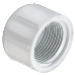IPEX Ipex 448012 Xirtec Cap 1-1/4 in