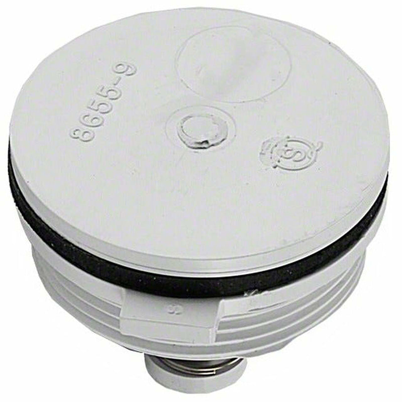 PENTAIR 07017-0151 RELIEF VALVES