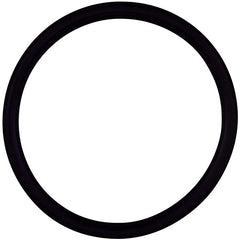 PENTAIR 355030Z O-RINGS & GASKETS