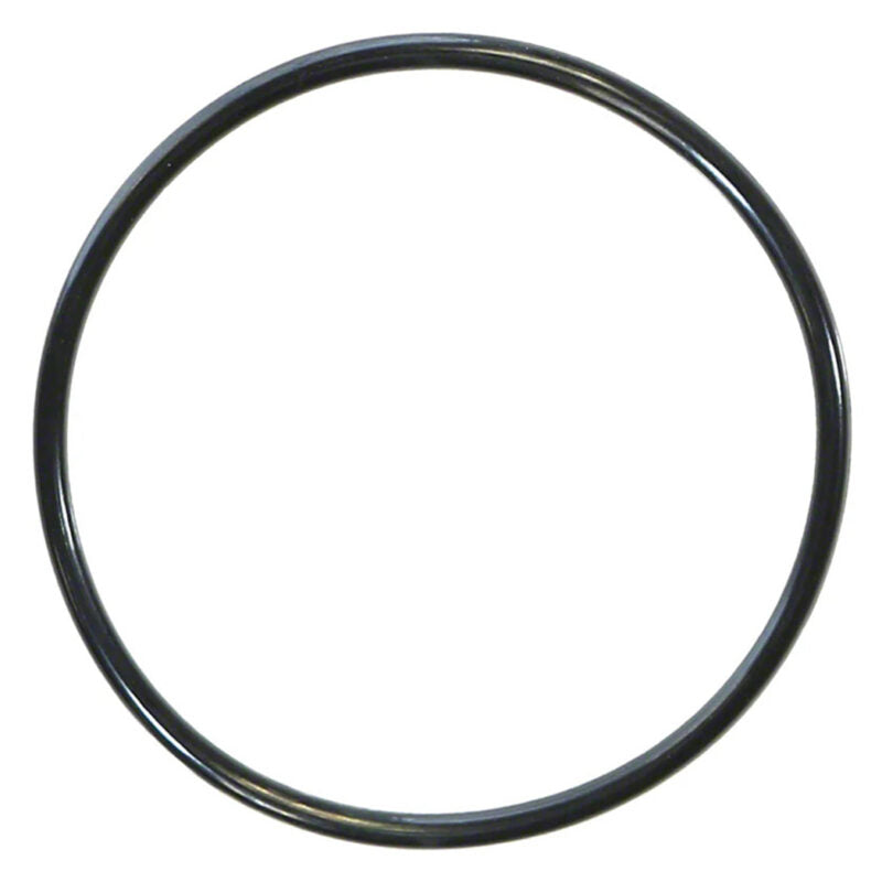 PENTAIR 590118Z POOL REPLACEMENT PARTS