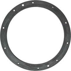 PENTAIR 79207500 GASKETS