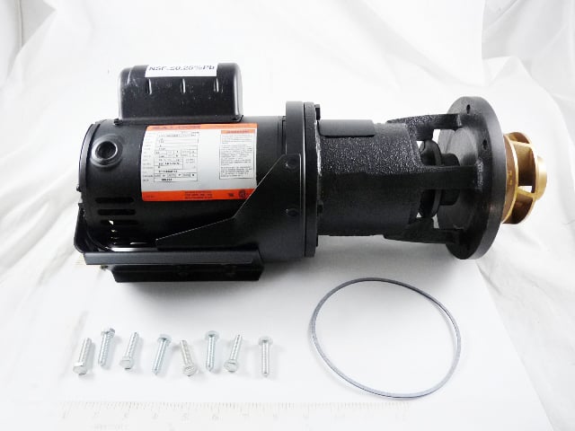 LAARS Laars LAARS-RA2117202 Pump Motor 1/2 Hp 115V