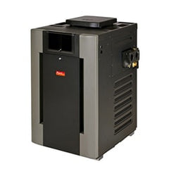 RAYPAK 010088F GAS VALVES