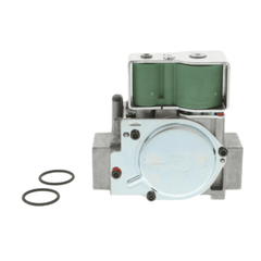 RBI 62632024 GAS VALVES