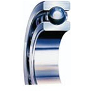 TRITAN 6313Y/C782 BEARINGS