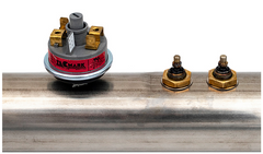 Balboa Water Group 53349 - 4kW Heater Assembly