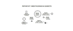 Leonard Valve 1/M20 Packing and Gasket Kit