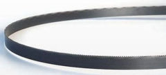 LENOX 3842538PW18 SAW BLADES