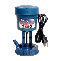 TRUE VALUE 1175 PIPE FITTINGS