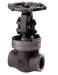 BONNEY FORGE V100365AND GATE VALVES