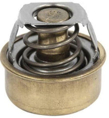 V9931288.jpg