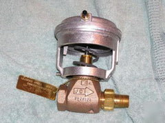 JOHNSON CONTROLS VG7251GT+3003D GLOBE VALVES