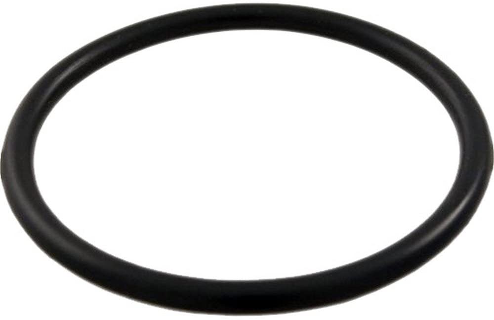 WATERWAY PLASTICS 805-0224 POOL O-RINGS & GASKETS