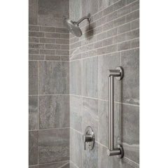 Creative Specialties YG0418BN Moen Align Brushed Nickel 18 Designer Grab Bar