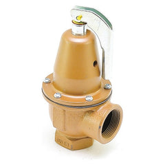 WATTS 383484 CHECK VALVES