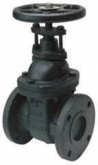 LEGEND VALVE Legend Valve 116-102 Gate Valve 2-1/2 Inch Flanged Cast Iron