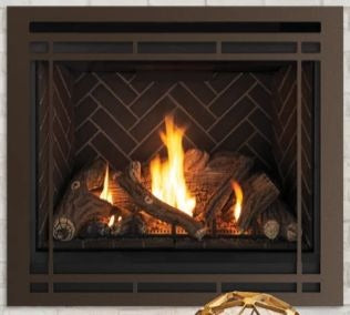 ASTRIA Astria F4981 Gemini Dlx Direct Vent Fireplace 40 in Natural Gas