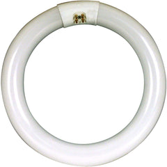 FEIT ELECTRIC Feit Electric FC12T9/CW Circuline Fluorescent 32 Watt (1 Pack) FC12T9/CW