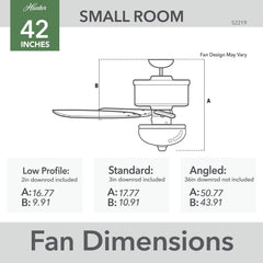 HUNTER Hunter 52219 Decorative Ceiling Fan 120V (42 in) 52219