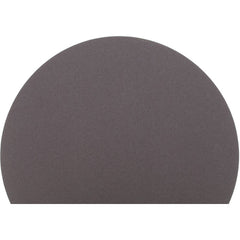 NORTON Norton 66261136726 Psa Disc 24 in 60 Grit Aluminum Oxide