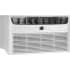FRIGIDAIRE Frigidaire FHTE103WA2 Thru-wall Ac 10000 Btu Heat Cool