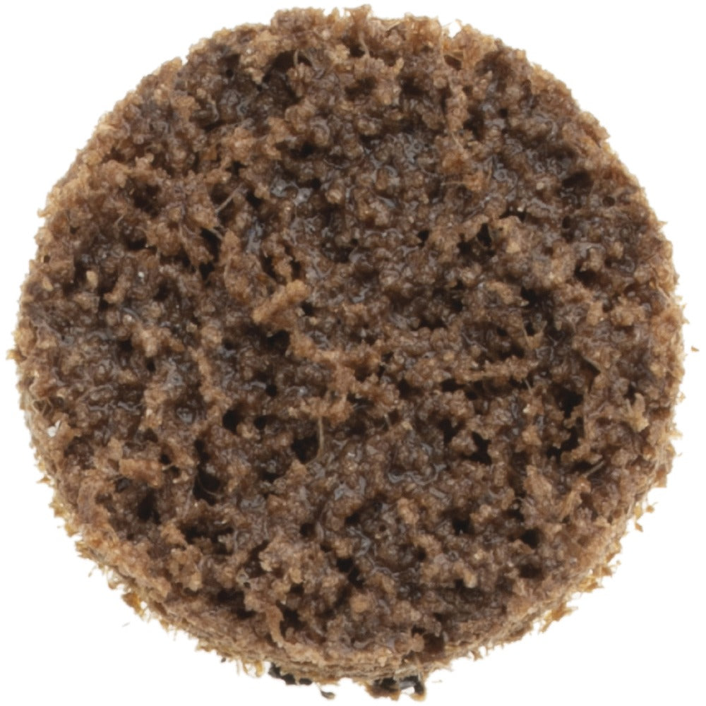 NORTON Norton 66623325013 Quick-change Disc Tr 3/4 in Coarse 80 Grit