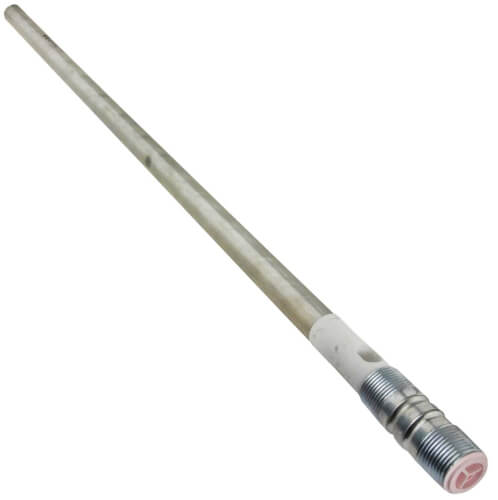RHEEM Rheem AS43149 Anode Rod Nipple Heat Trap Assembly 24 Inch Magnesium Replacement SP13901B