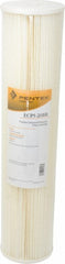 PENTAIR Pentair 255494-43 Pleated Cartridge Filter 5 Micron
