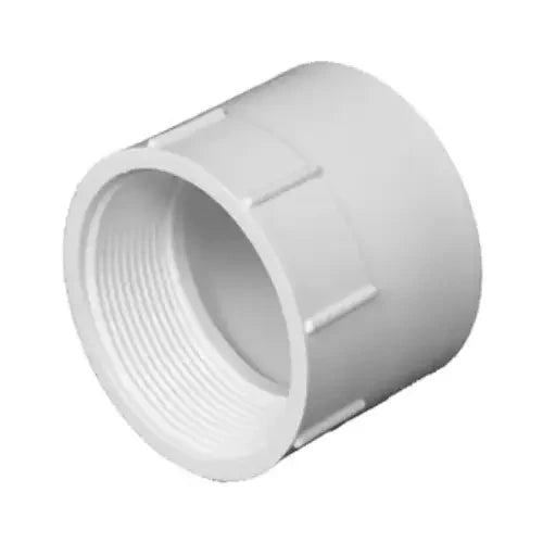 CHARLOTTE PIPE Charlotte Pipe PVC 00101 1000HA 2 In Hub x 2 In FPT Schedule 40 DWV PVC Adapter (2 In.)