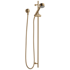 BRIZO Brizo 85521-gl Slide Bar Hand Shower