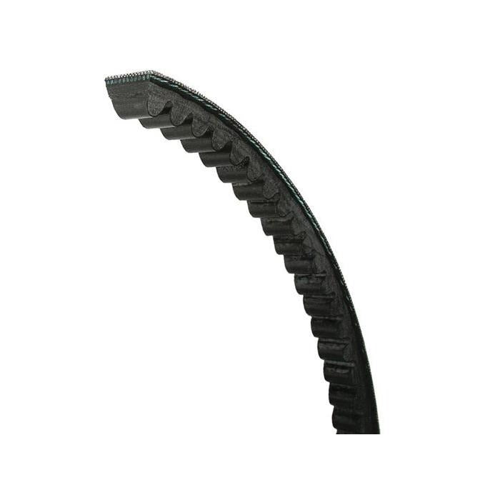 JASON INDUSTRIAL Jason Industrial BX36 Cogged Classical V-Belt 21/32 in Top Width 13/32 in Thick