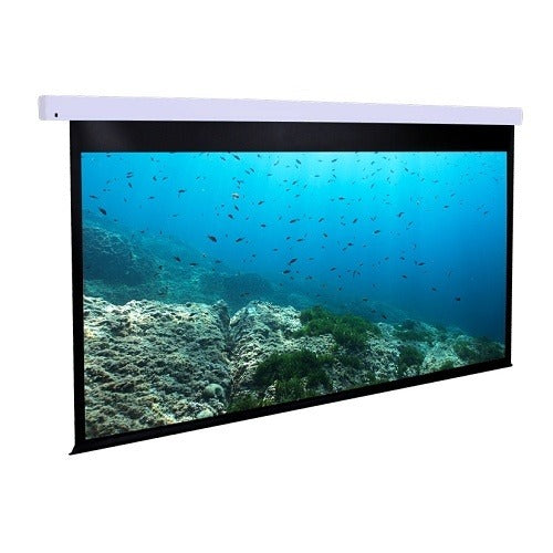 DRAGONFLY Dragonfly DFM-NTT-100-MW Projection Screen Matte White